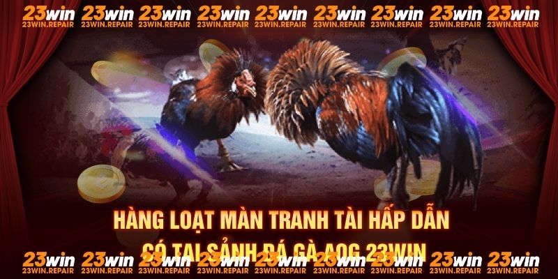 Hàng loạt màn tranh tài hấp dẫn có tại sảnh đá gà AOG 23win