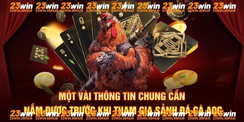 Một vài thông tin chung cần nắm được trước khi tham gia sảnh đá gà AOG